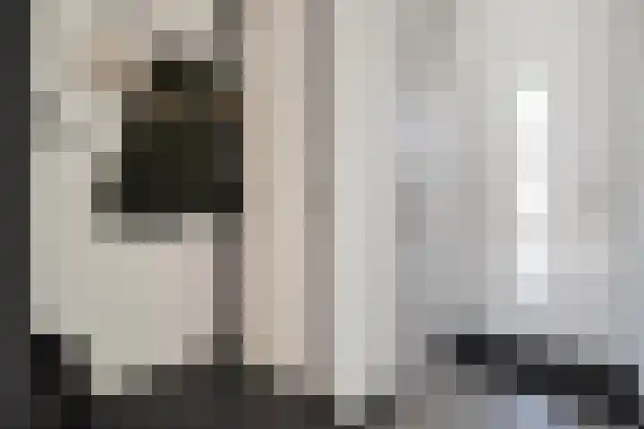 Kleine Beer 21 Hoogeveen thumbnail 8