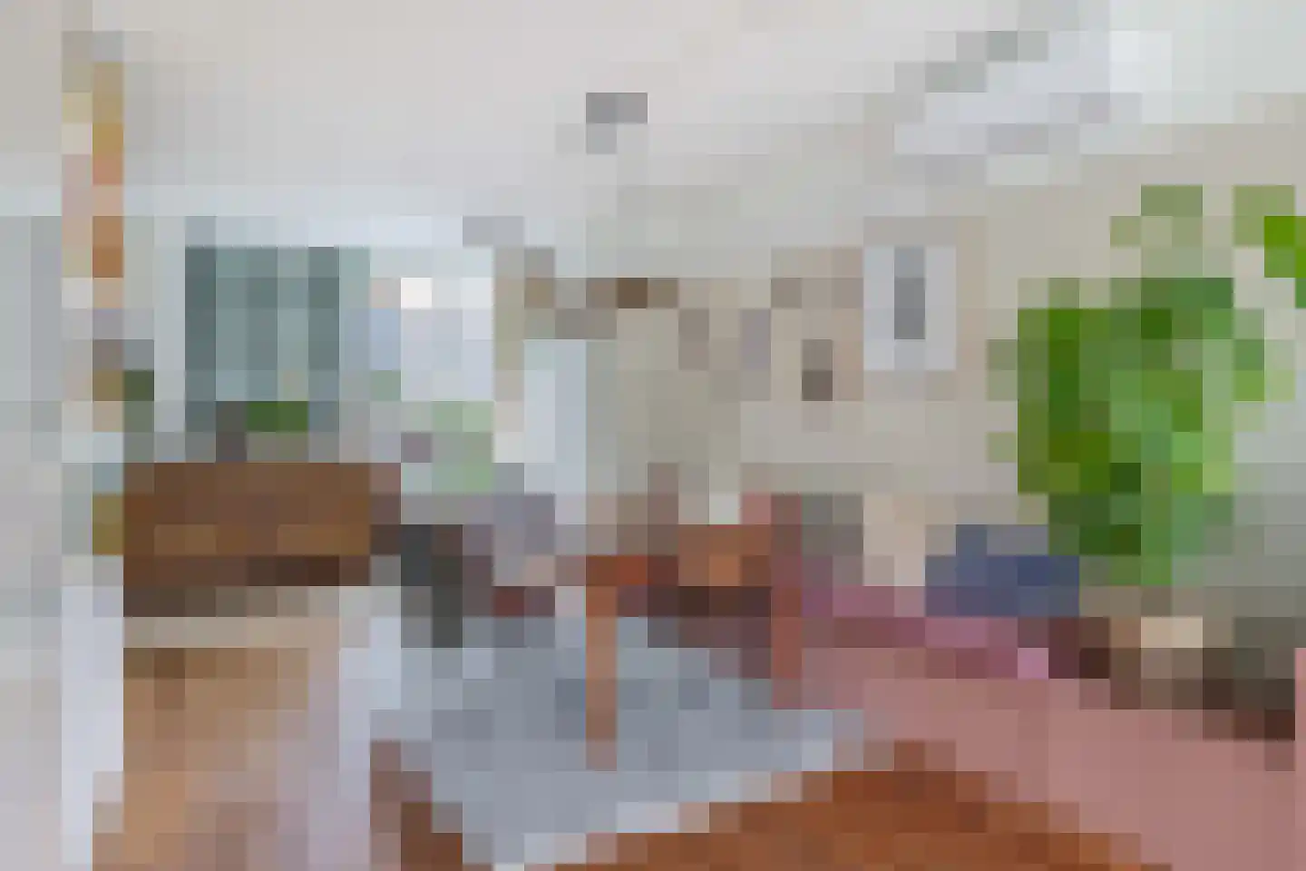 Kleine Beer 22 Lemmer thumbnail 10