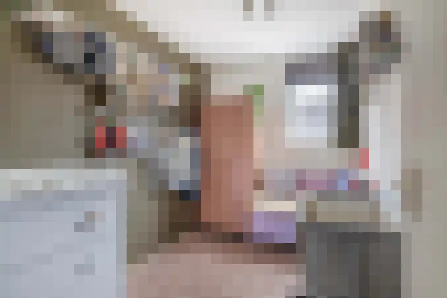 Kleine Beer 22 Lemmer thumbnail 18