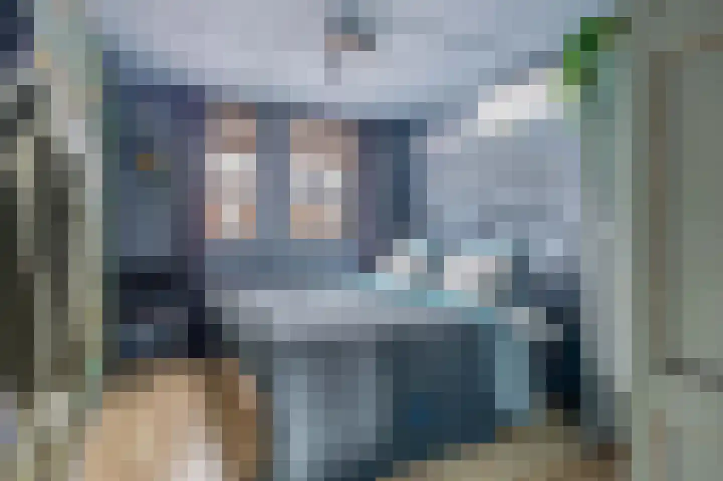 Kleine Beer 22 Lemmer thumbnail 20