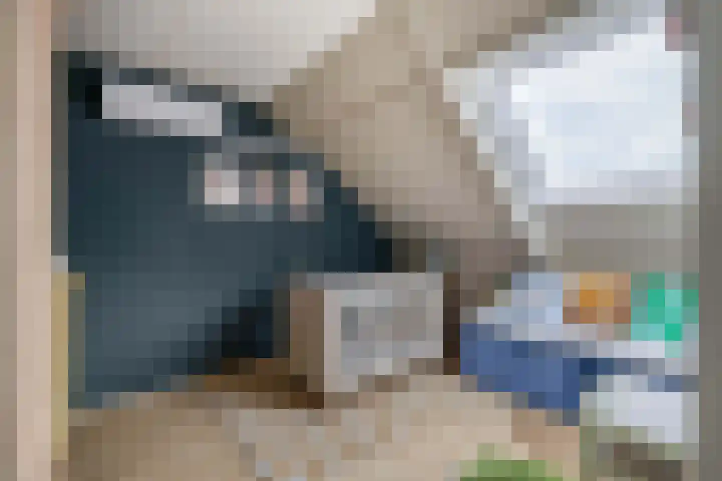 Kleine Beer 22 Lemmer thumbnail 22