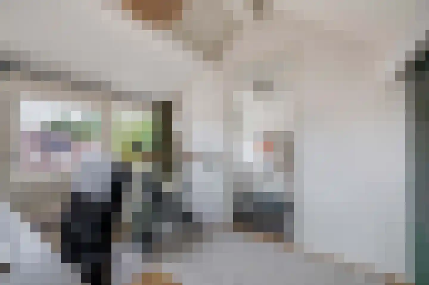 Kleine Beer 22 Lemmer thumbnail 26