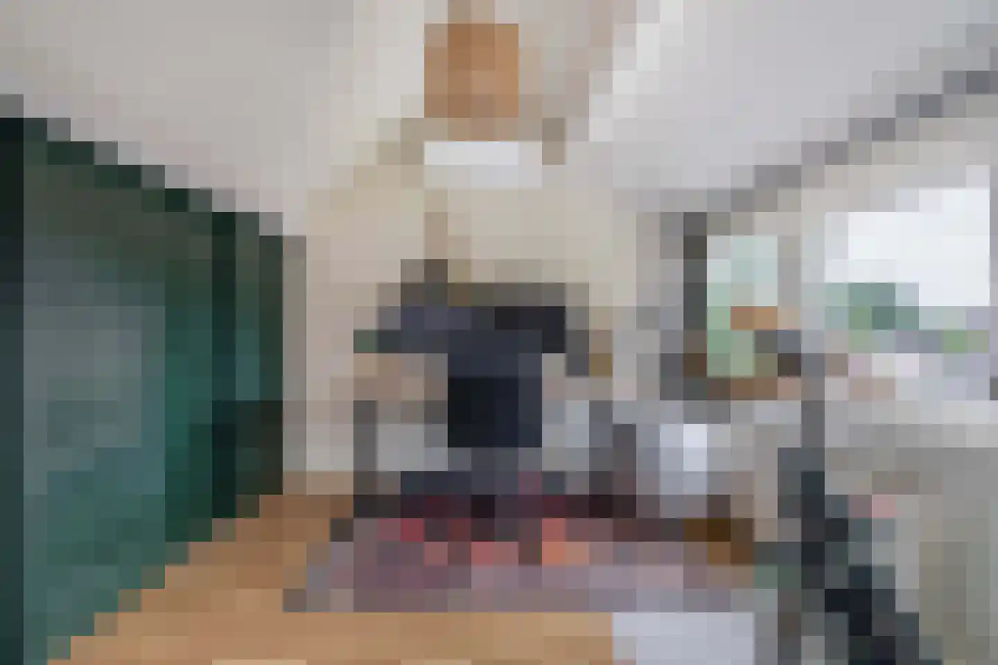 Kleine Beer 22 Lemmer thumbnail 27