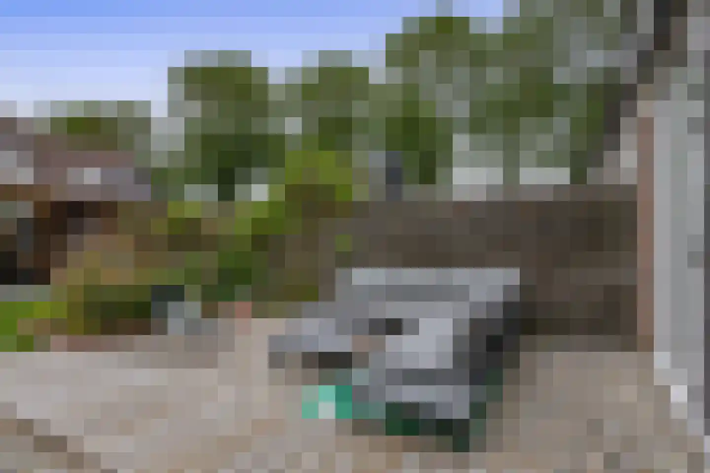 Kleine Beer 22 Lemmer thumbnail 30