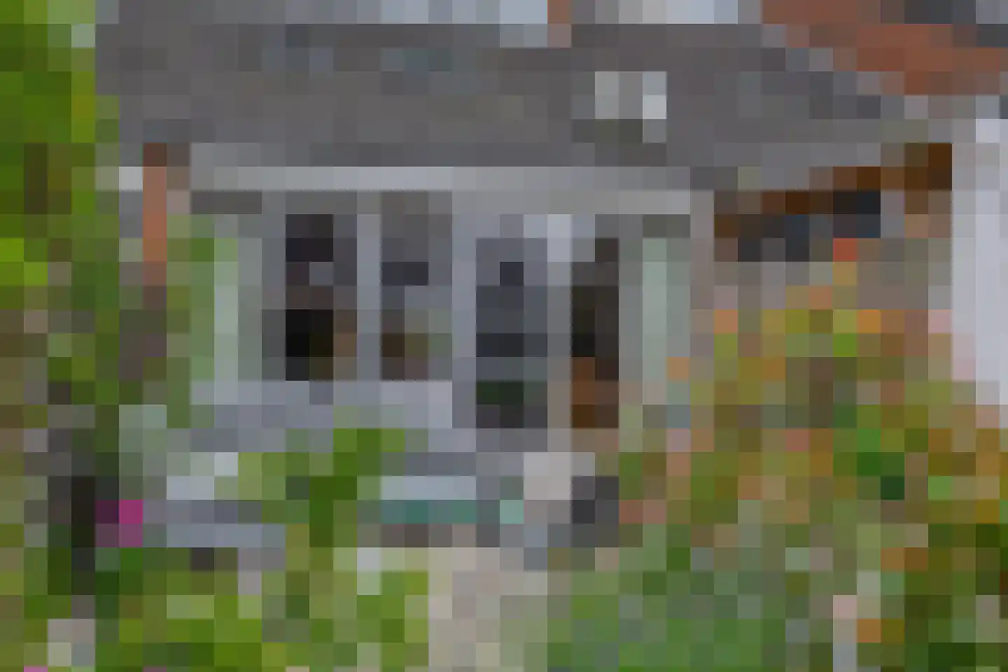 Kleine Beer 22 Lemmer thumbnail 31