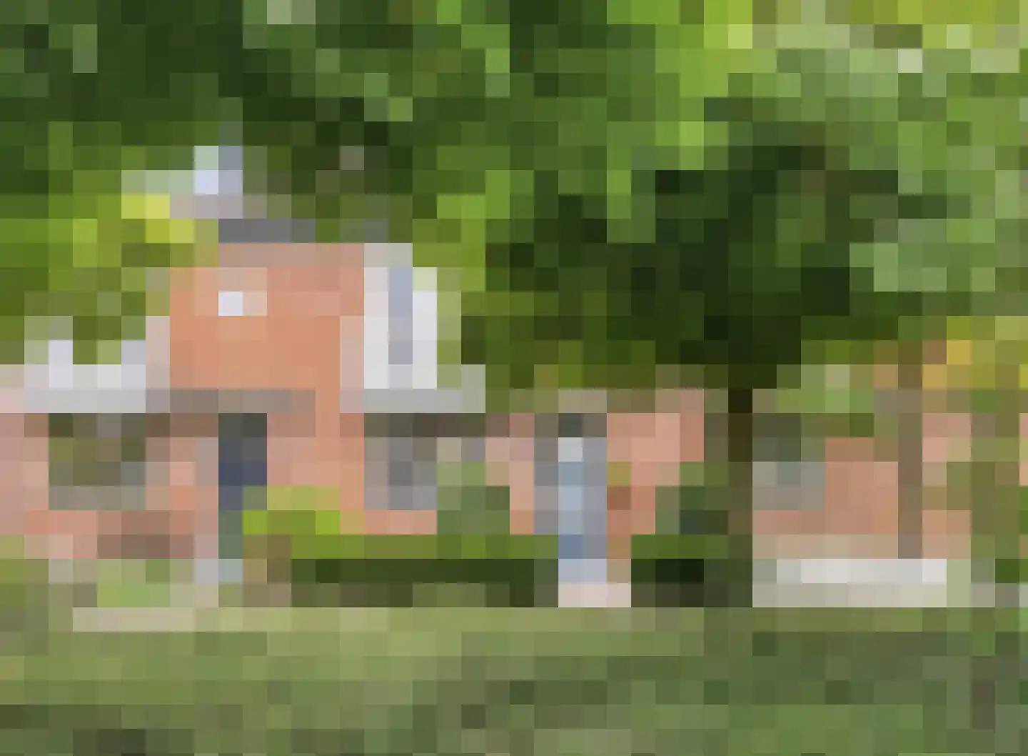 Kleine Beer 3 Bleiswijk