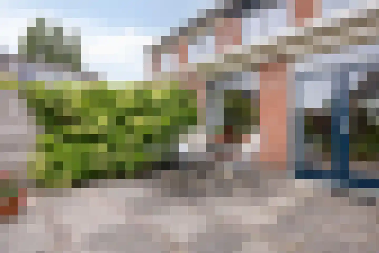 Kleine Beer 3 Bleiswijk thumbnail 10