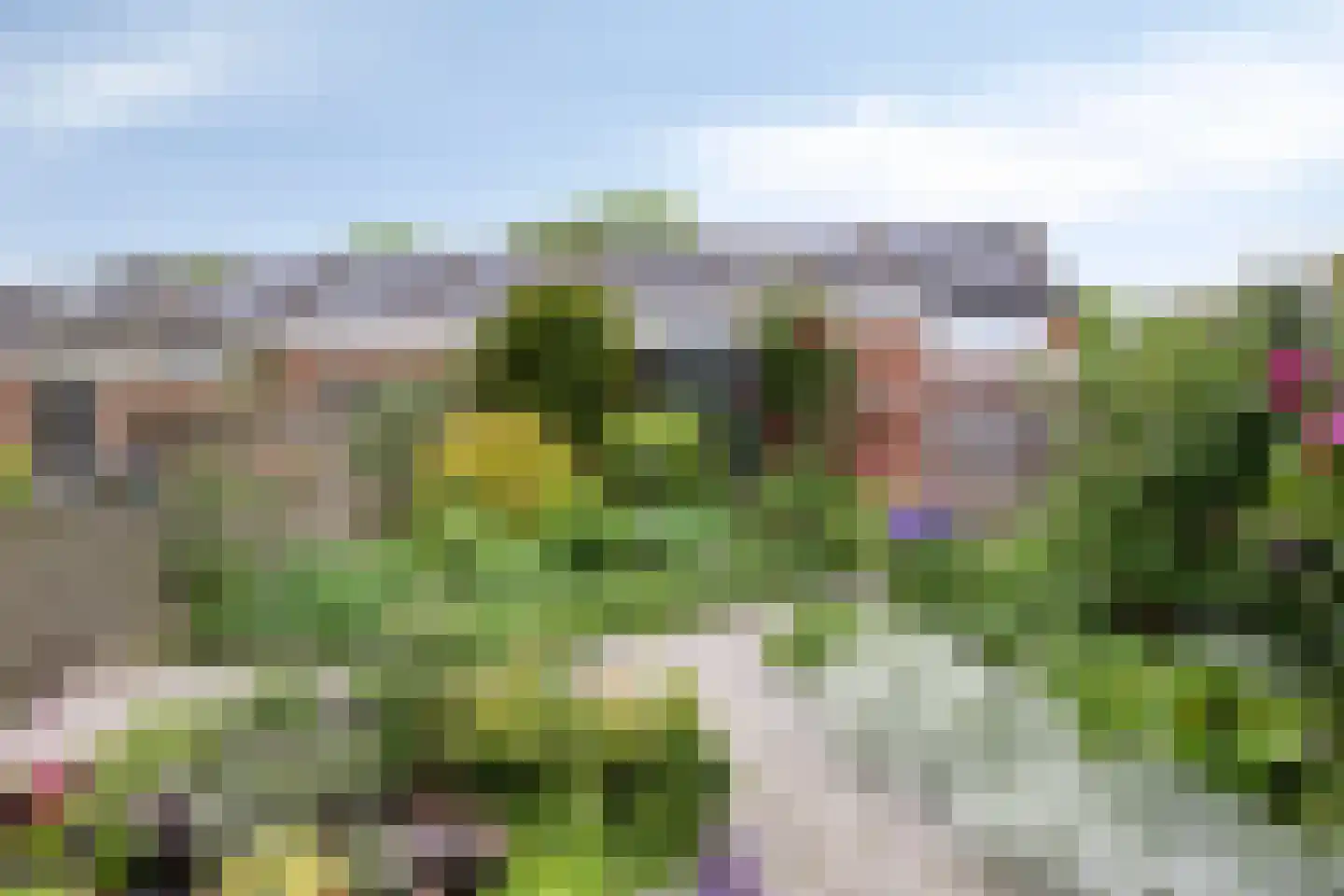 Kleine Beer 3 Bleiswijk thumbnail 11