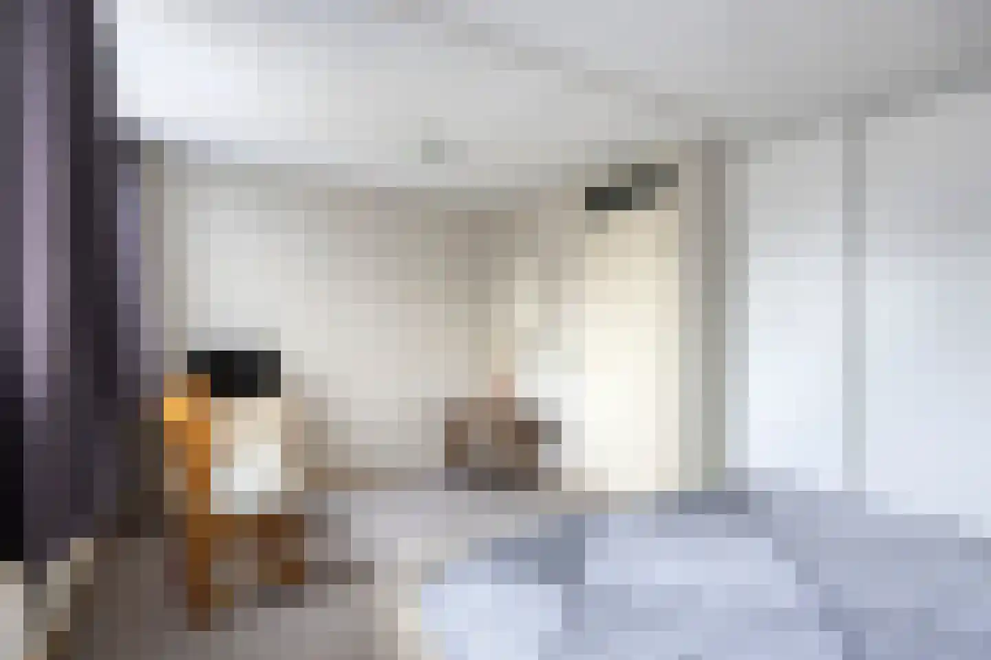 Kleine Beer 3 Bleiswijk thumbnail 22