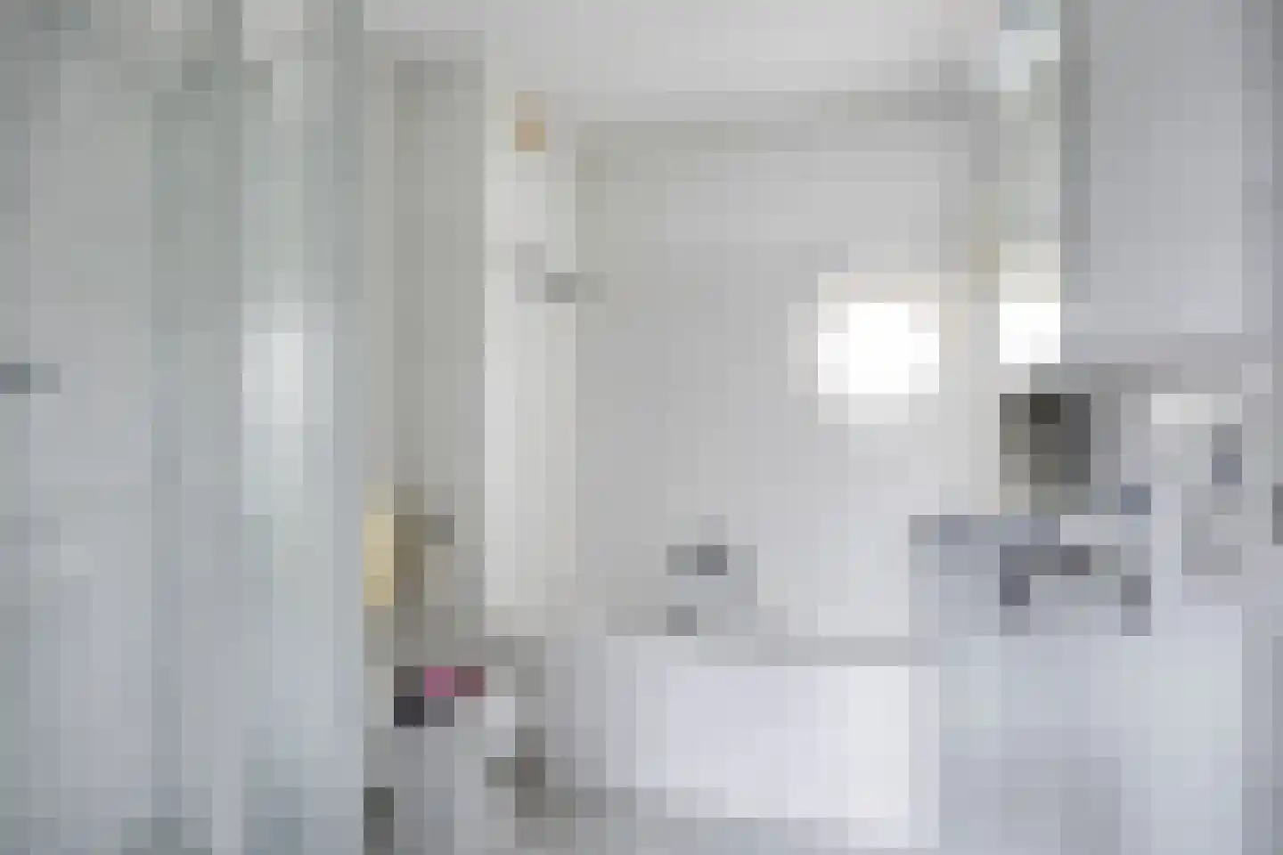 Kleine Beer 3 Bleiswijk thumbnail 23