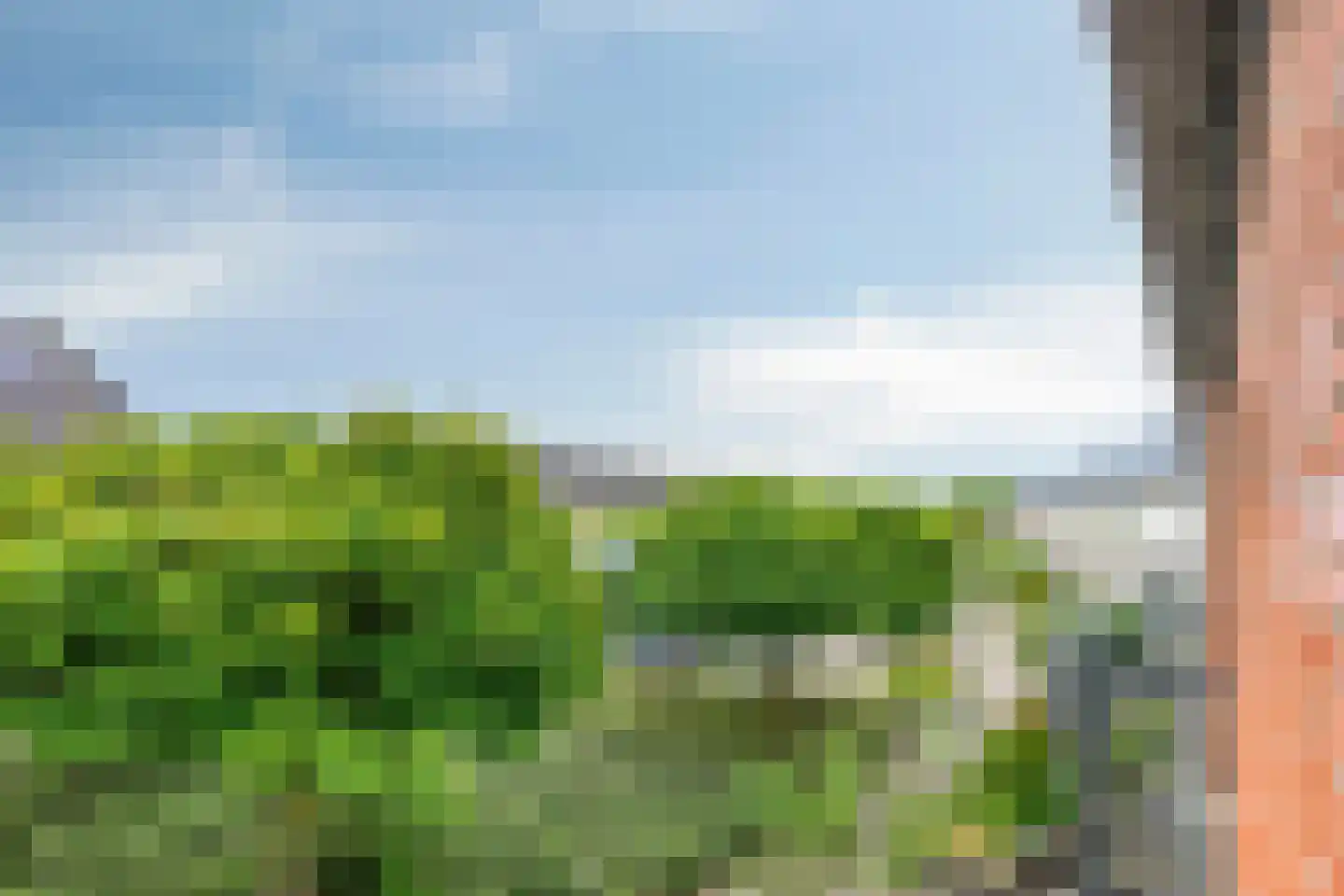Kleine Beer 3 Bleiswijk thumbnail 27