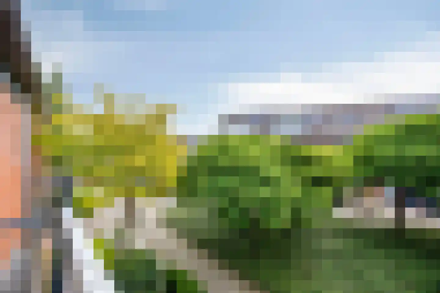 Kleine Beer 3 Bleiswijk thumbnail 28