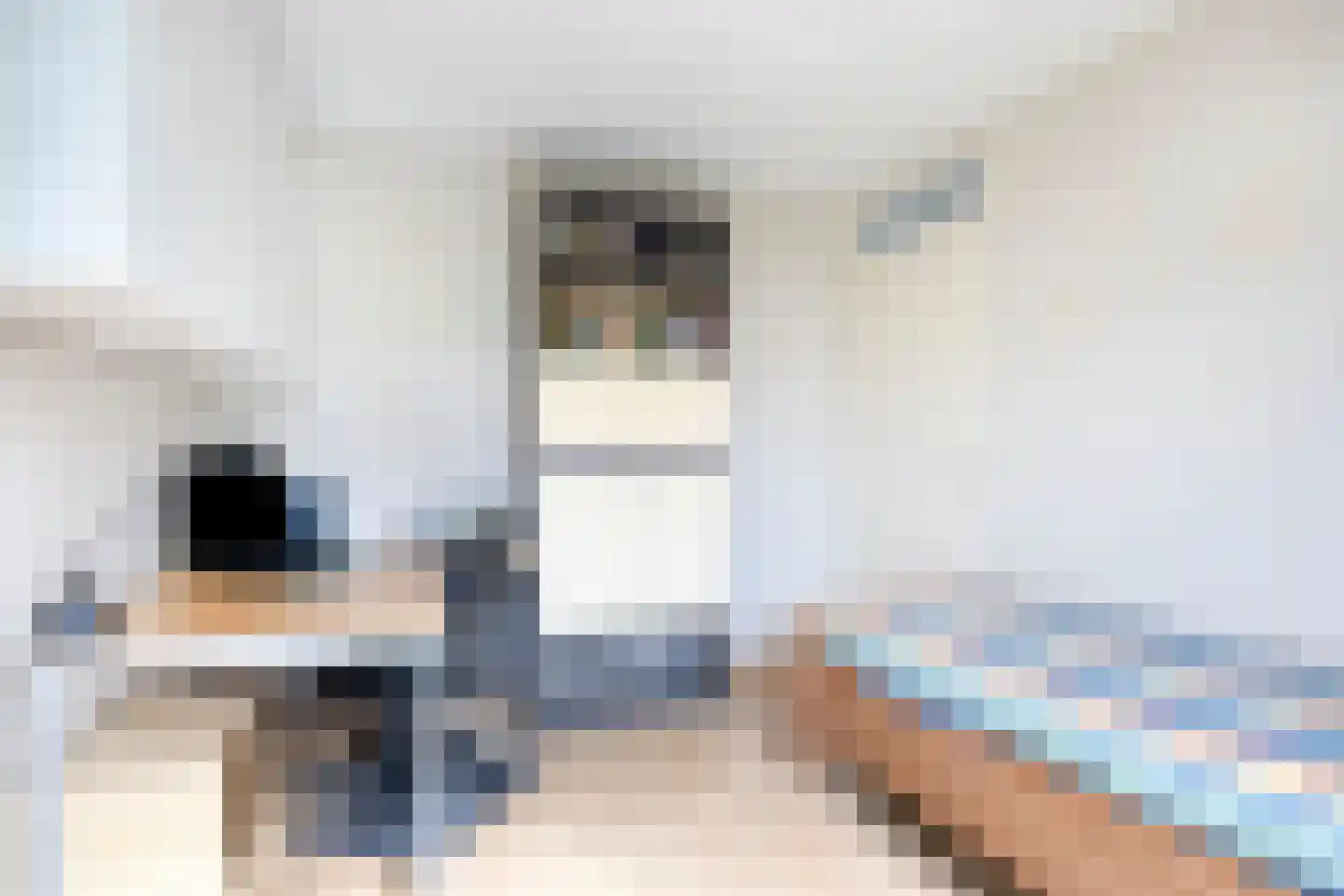 Kleine Beer 3 Bleiswijk thumbnail 29