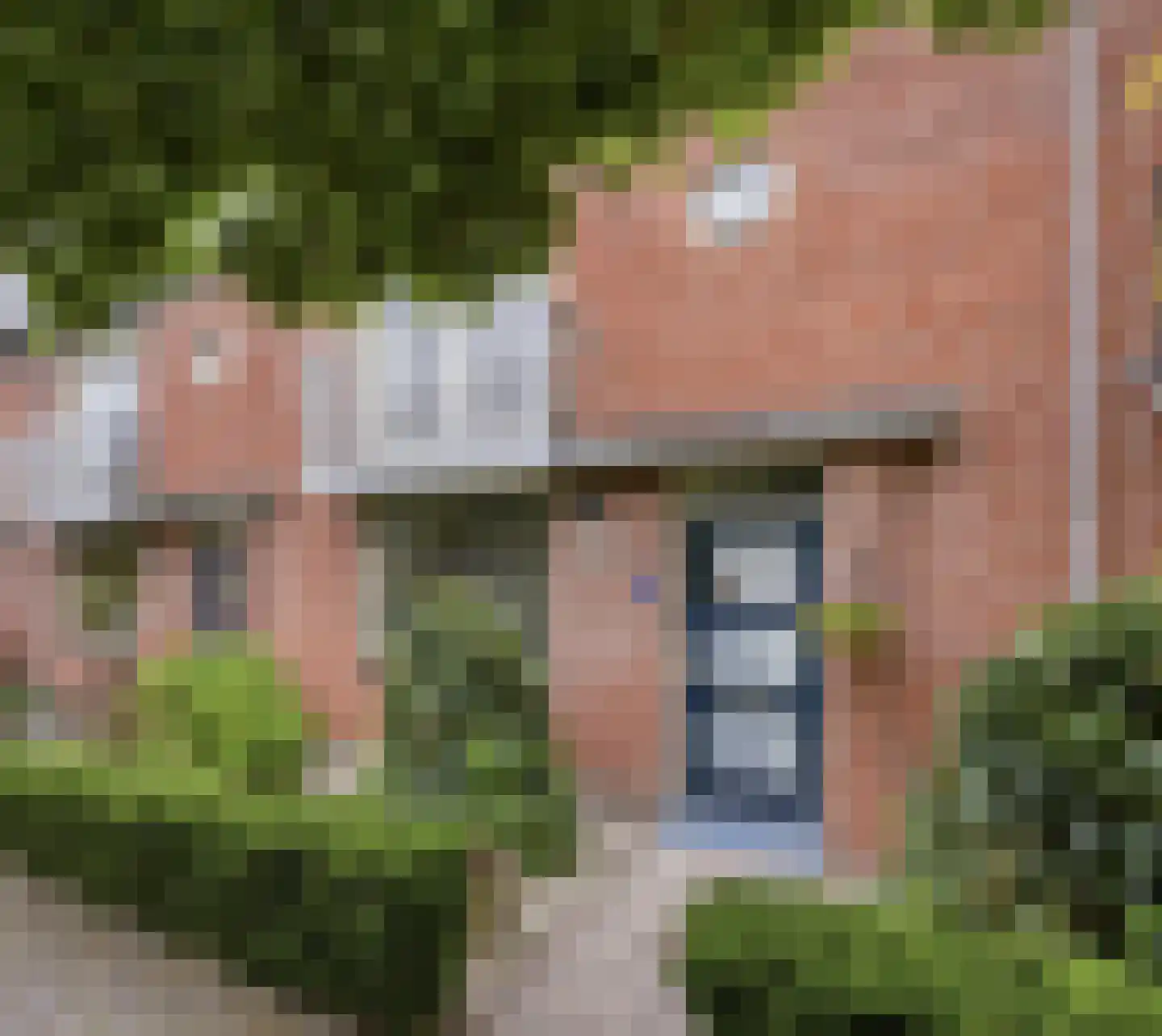 Kleine Beer 3 Bleiswijk thumbnail 4