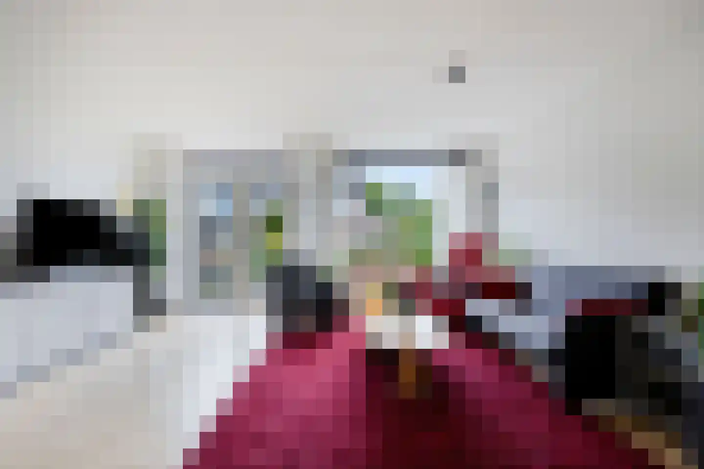 Kleine Beer 3 Bleiswijk thumbnail 7