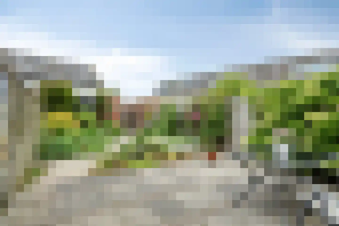 Kleine Beer 3 Bleiswijk thumbnail 9
