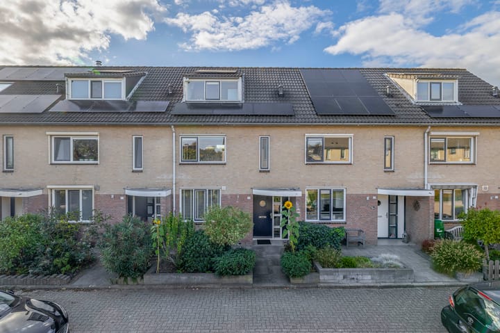 Kleine Beer 31 in Bleiswijk Foto