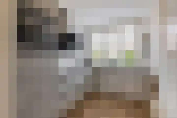 Kleine Beer 31 Bleiswijk thumbnail 15