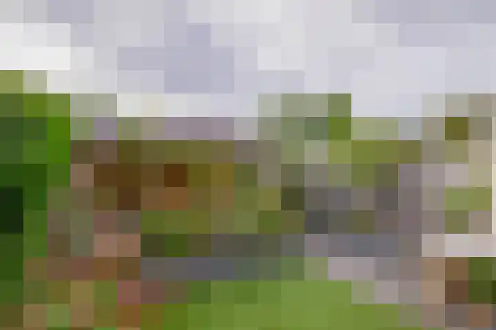 Kleine Beer 31 Bleiswijk thumbnail 17