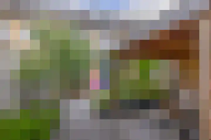 Kleine Beer 31 Bleiswijk thumbnail 22