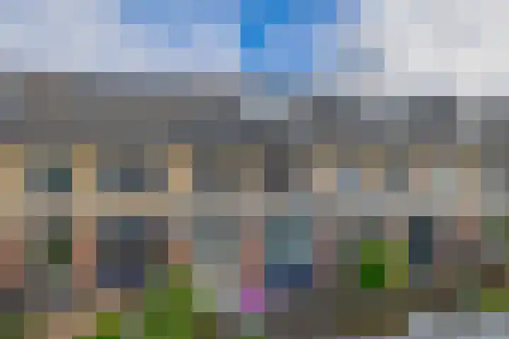 Kleine Beer 31 Bleiswijk thumbnail 23