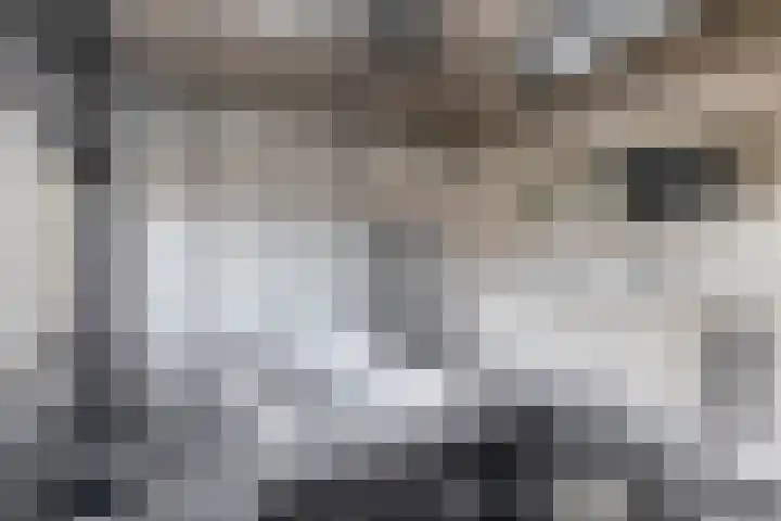 Kleine Beer 31 Bleiswijk thumbnail 24
