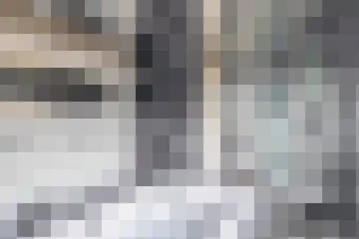 Kleine Beer 31 Bleiswijk thumbnail 25