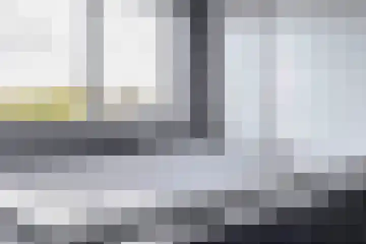 Kleine Beer 31 Bleiswijk thumbnail 27