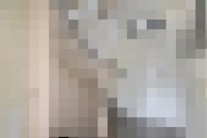 Kleine Beer 31 Bleiswijk thumbnail 31