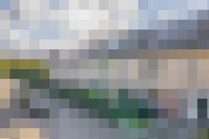Kleine Beer 31 Bleiswijk thumbnail 4