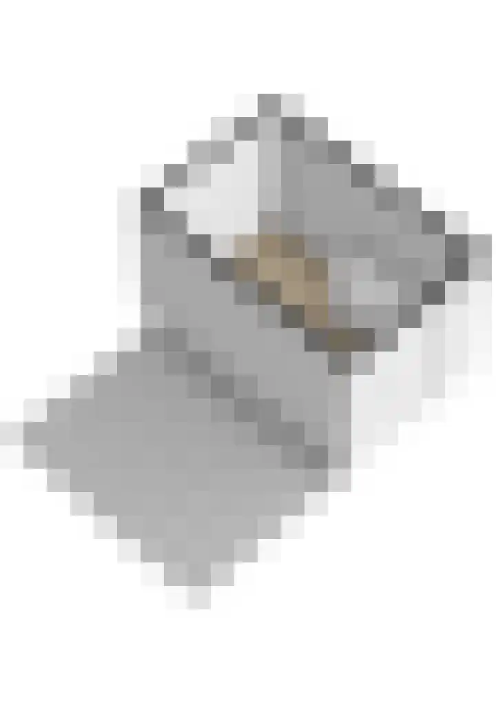 Kleine Beer 31 Bleiswijk thumbnail 46