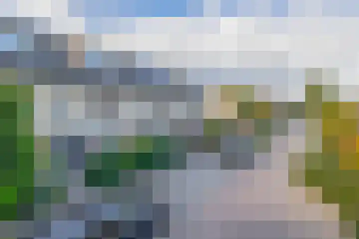 Kleine Beer 31 Bleiswijk thumbnail 5