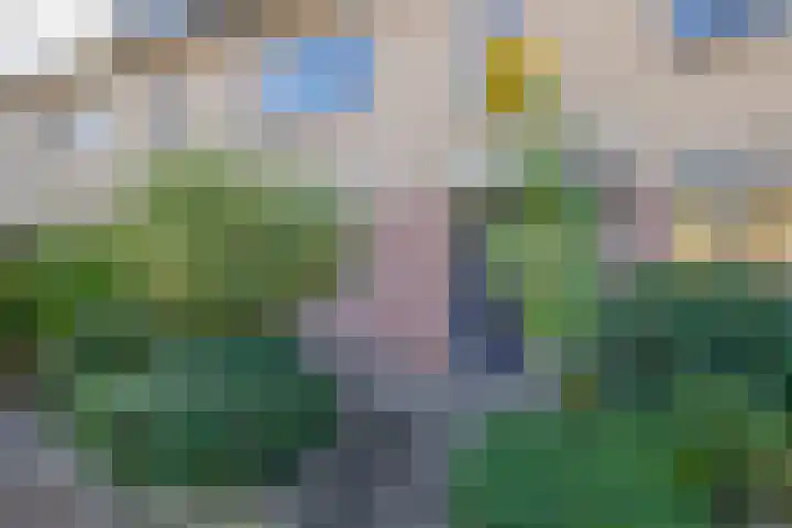 Kleine Beer 31 Bleiswijk thumbnail 6