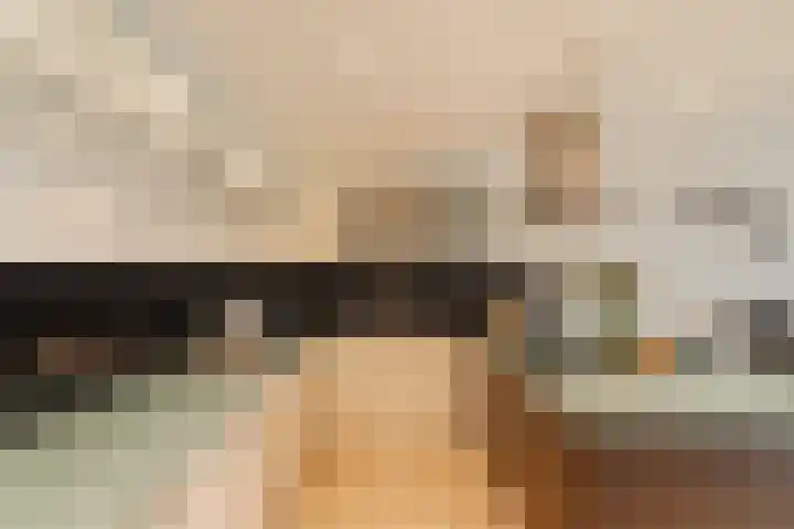 Kleine Beer 72 B Rotterdam thumbnail 18