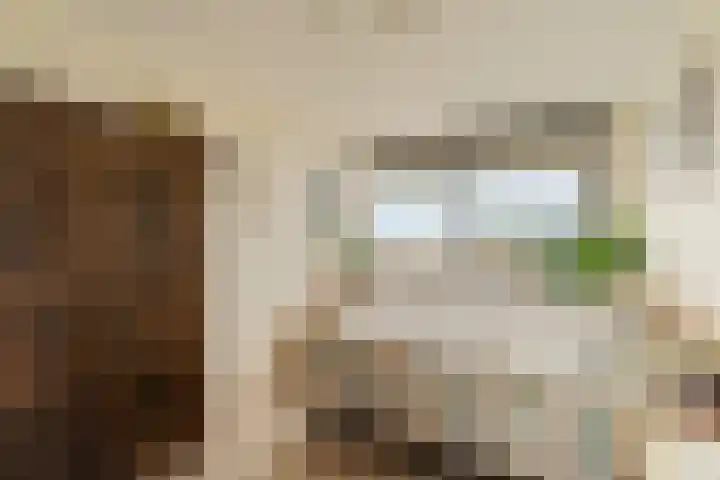 Kleine Beer 72 B Rotterdam thumbnail 24