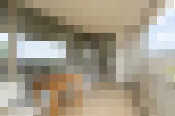 Kleine Beer 72 B Rotterdam thumbnail 30
