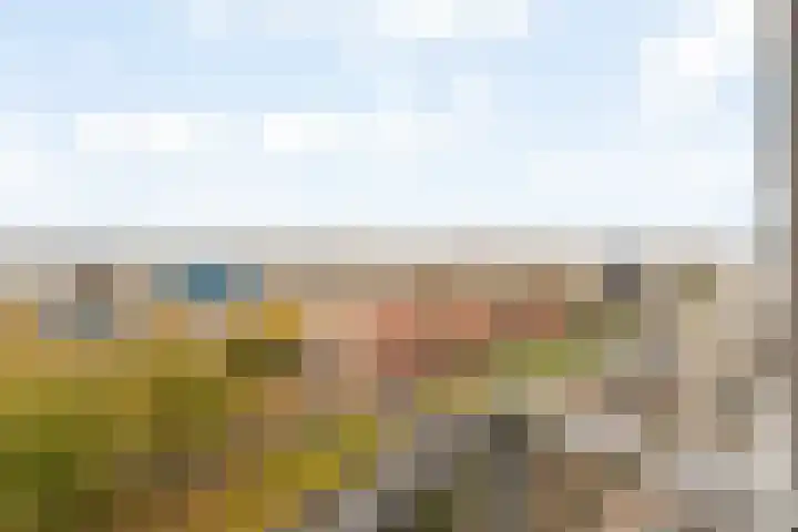 Kleine Beer 72 B Rotterdam thumbnail 32