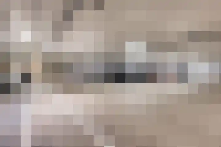 Kleine Beer 72 B Rotterdam thumbnail 33