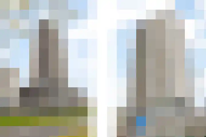 Kleine Beer 72 B Rotterdam thumbnail 7