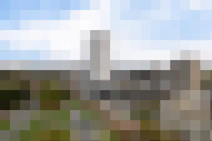 Kleine Beer 92 B Rotterdam thumbnail 40