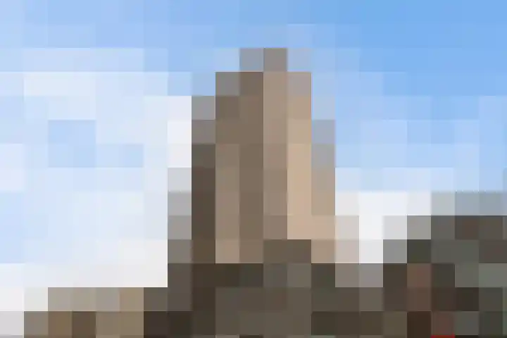 Kleine Beer 92 B Rotterdam thumbnail 6