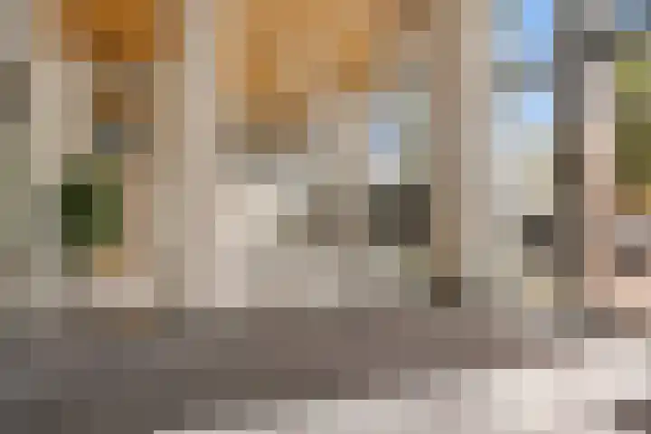 Kleine Beer 92 B Rotterdam thumbnail 9