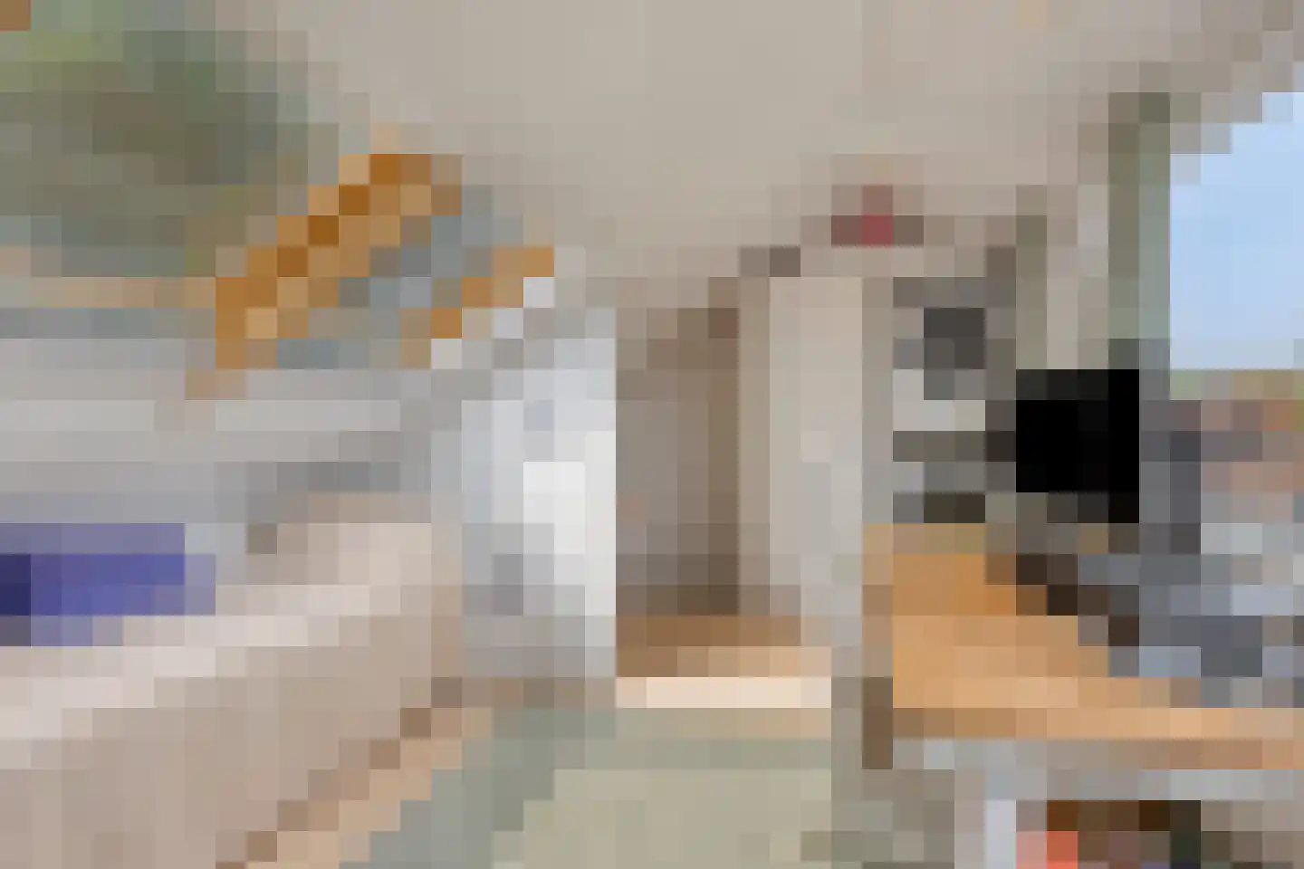 Kleine Beerpad 10 Eindhoven thumbnail 13