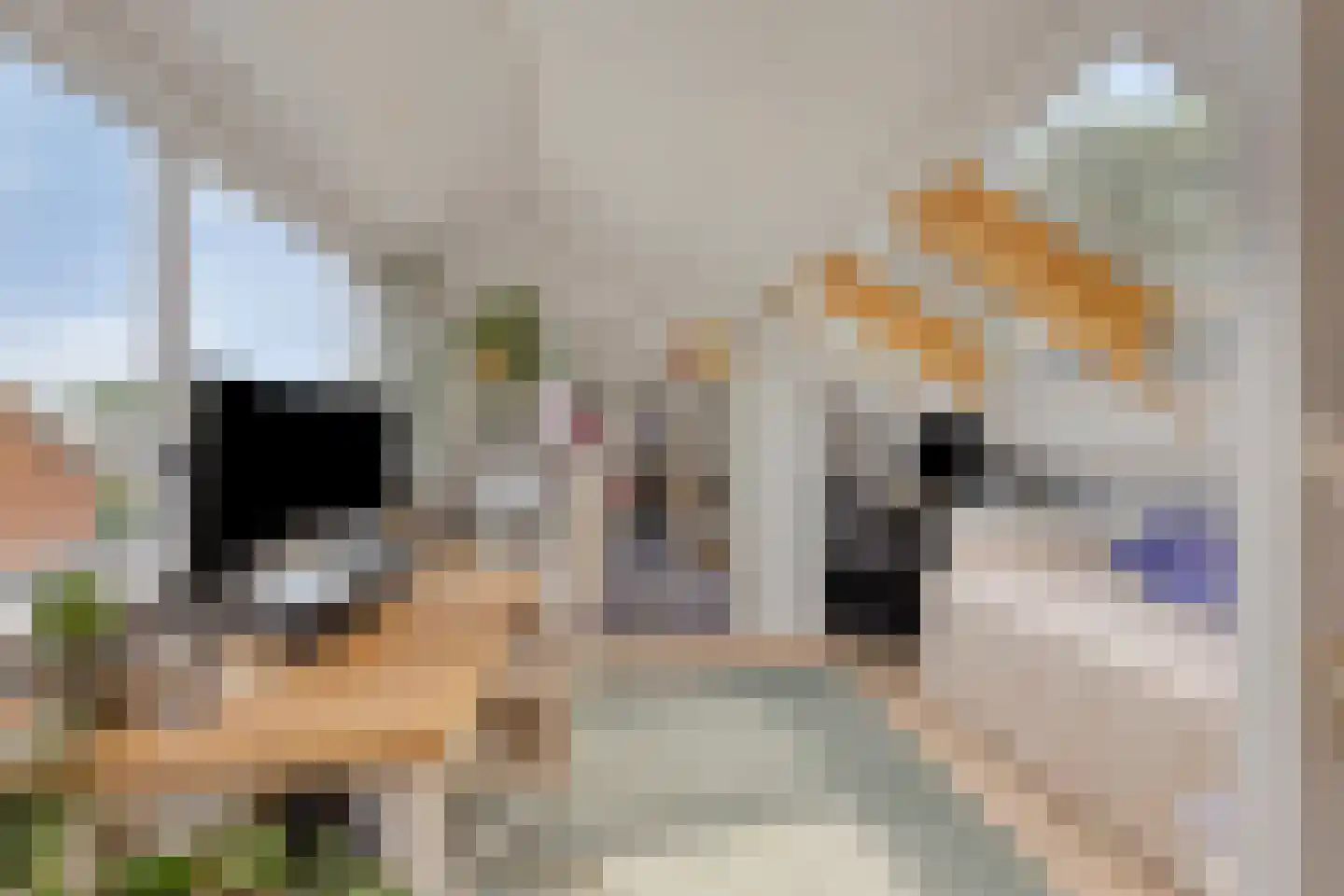 Kleine Beerpad 10 Eindhoven thumbnail 19