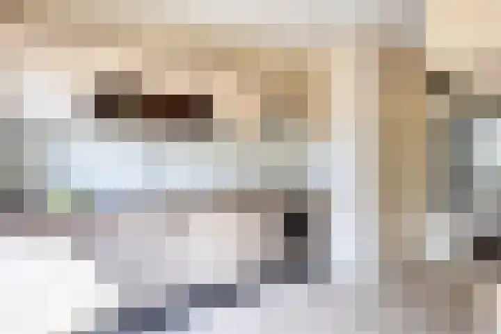 Kleine Beerpad 11 Eindhoven thumbnail 13