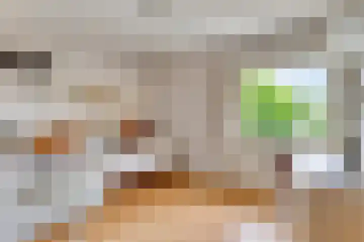Kleine Beerpad 11 Eindhoven thumbnail 21