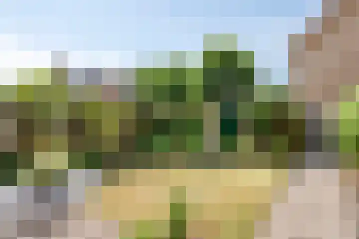 Kleine Beerpad 11 Eindhoven thumbnail 28