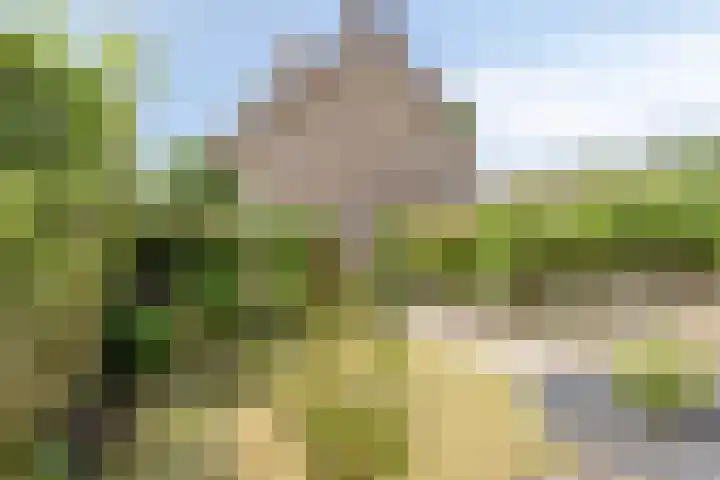 Kleine Beerpad 11 Eindhoven thumbnail 29