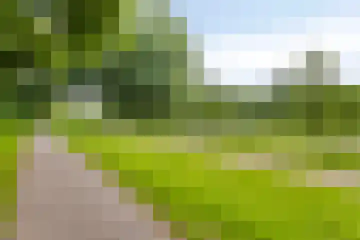 Kleine Beerpad 11 Eindhoven thumbnail 33
