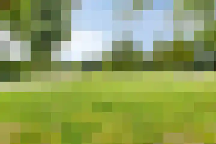 Kleine Beerpad 11 Eindhoven thumbnail 34